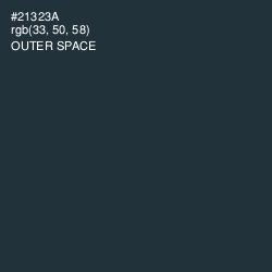 #21323A - Outer Space Color Image